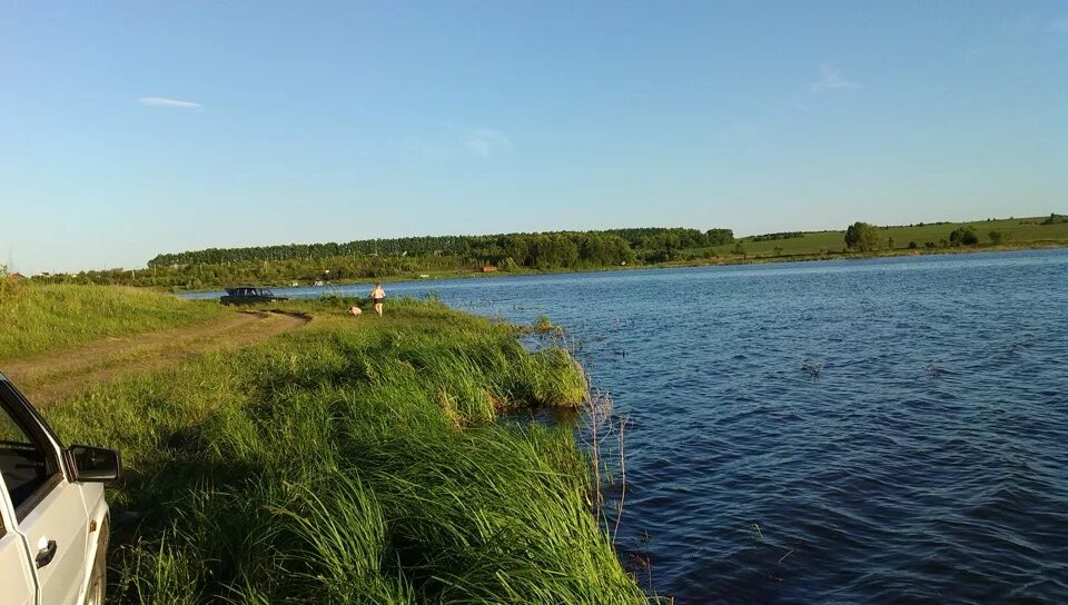 Пруд трещевка воронежская. Пруд у дяди вани воронеж трещевка. Пруд трещевка воронежская. Река трещевка воронежская область рыбалка. Рыбалка у дяди вани воронеж.
