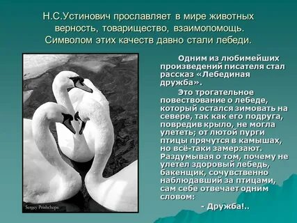 Верность в любви литература