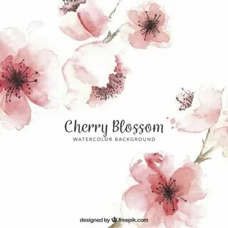 Gorgeous cherry blossom перевод