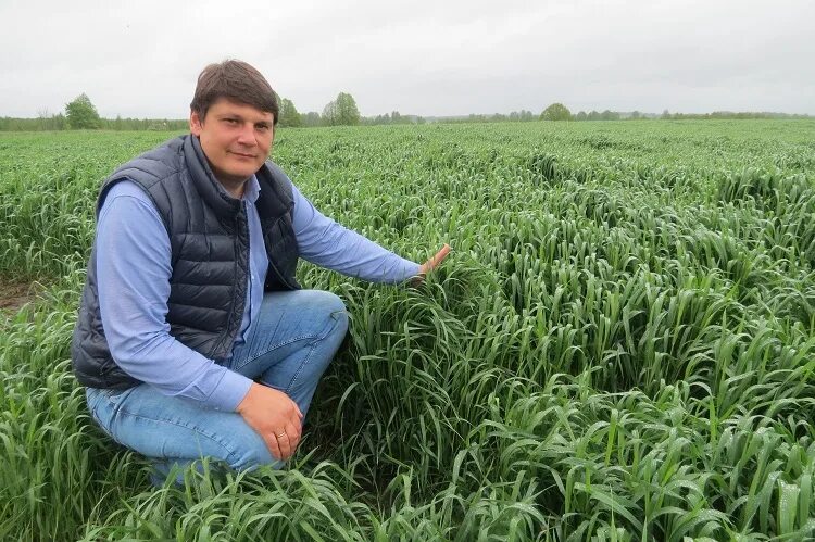 Фулл агро. Агро какого. Агро какого. Комбайн и хлебороб. Виктор девтерев кущевская.