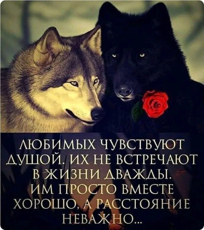 Друг это ведь навсегда