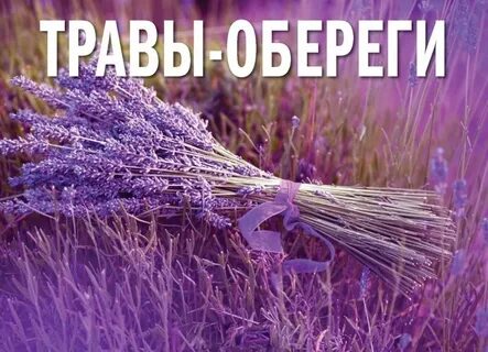 Песня травы травы в современной обработке