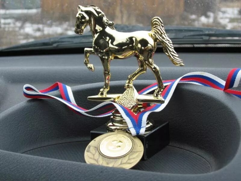Медали конный спорт. Награды конный спорт. Награды для лошадей. Кубки и медали по конному спорту. Кубок по конному спорту