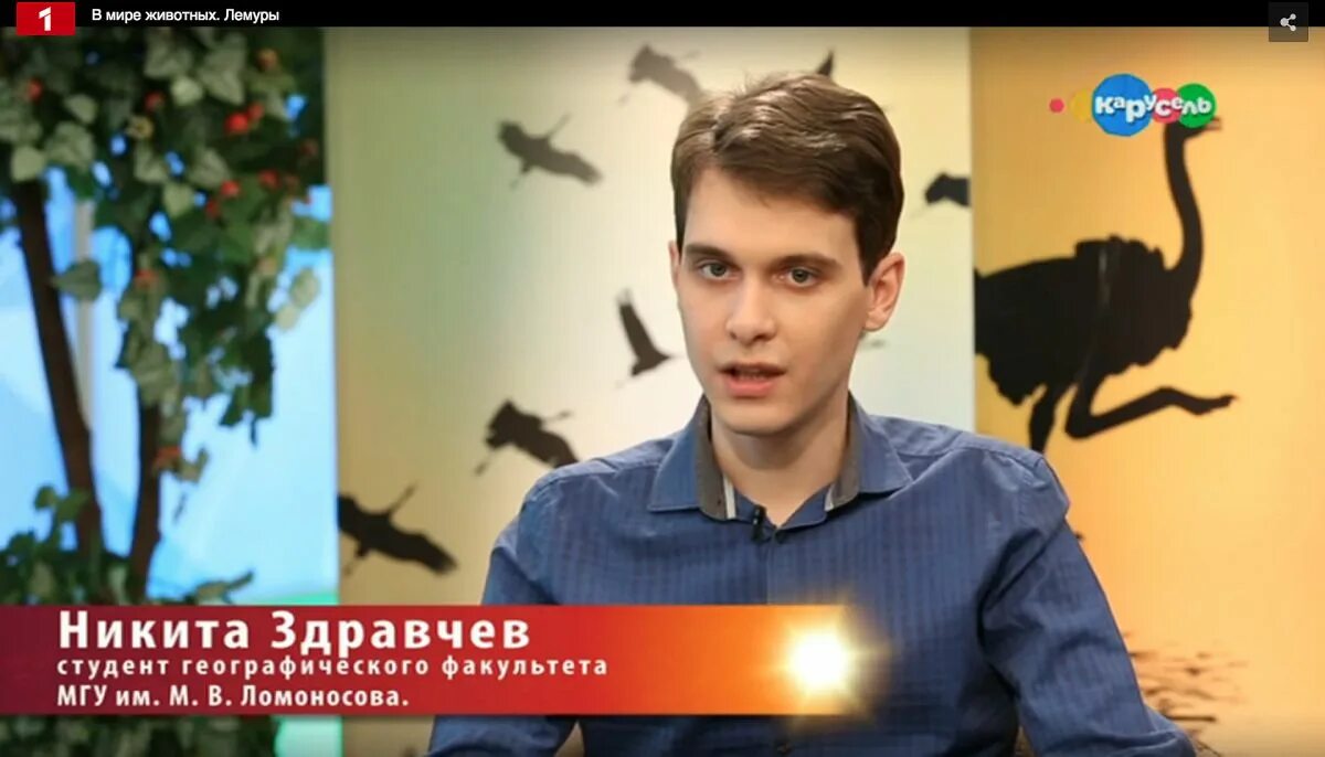 Сколько лет передачи в мире животных. В мире животных телепередача кадры. в мире животных ведущий. передача в мире животных с николаем дроздовым.