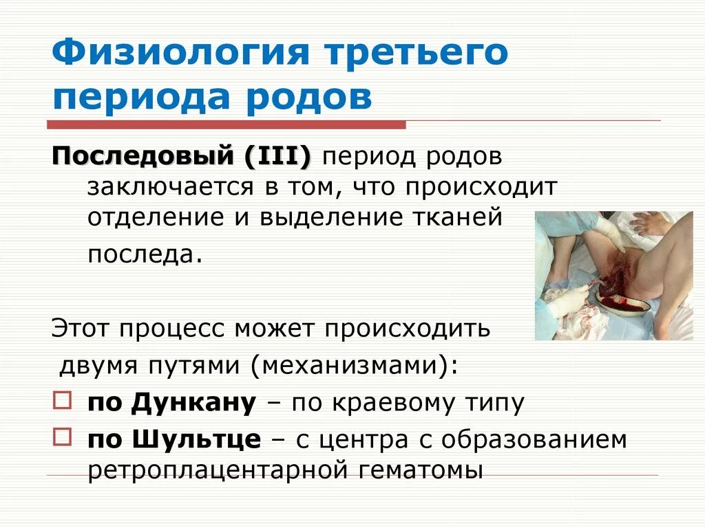 Кровянистые выделения после родов сколько