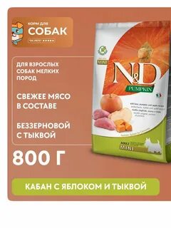 Корм с тыквой