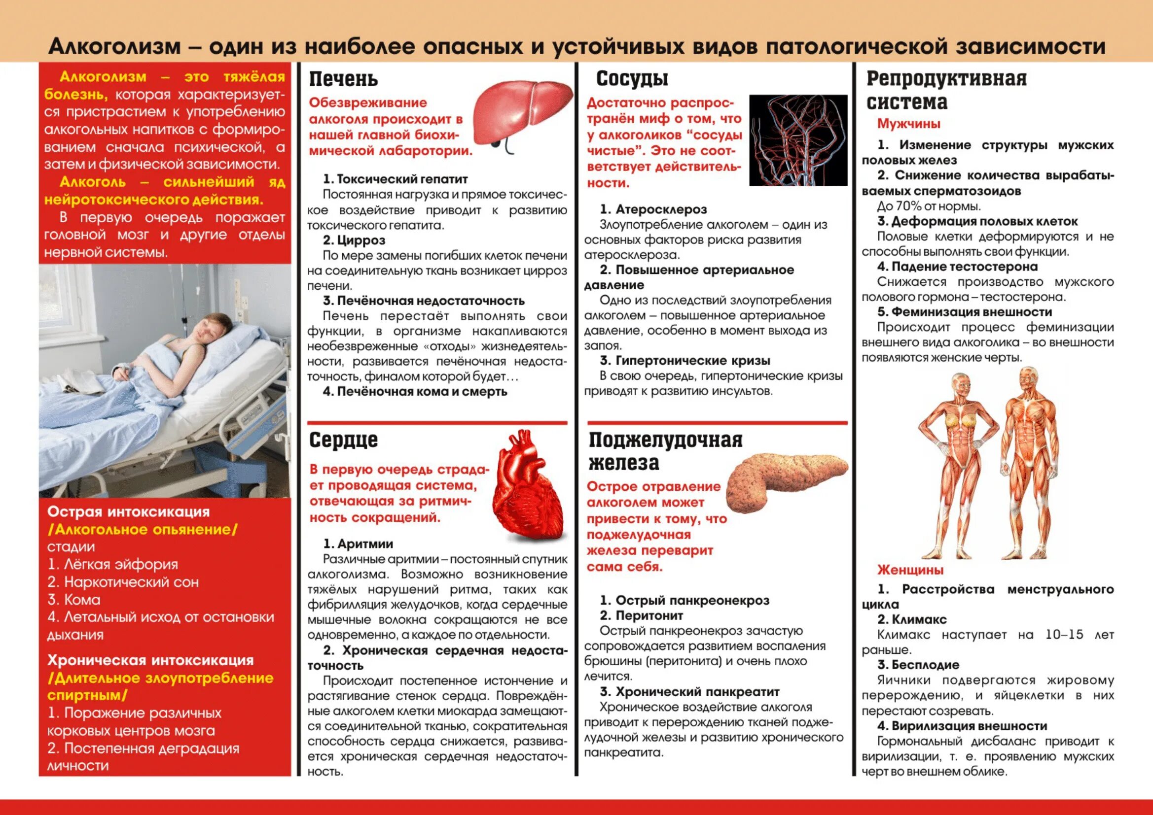 Алкоголизм профилактика беседа. Профилактика заболеваний алкоголизма. Памятка о вреде алкоголизма. Памятка поп профилактики алкоголизма.