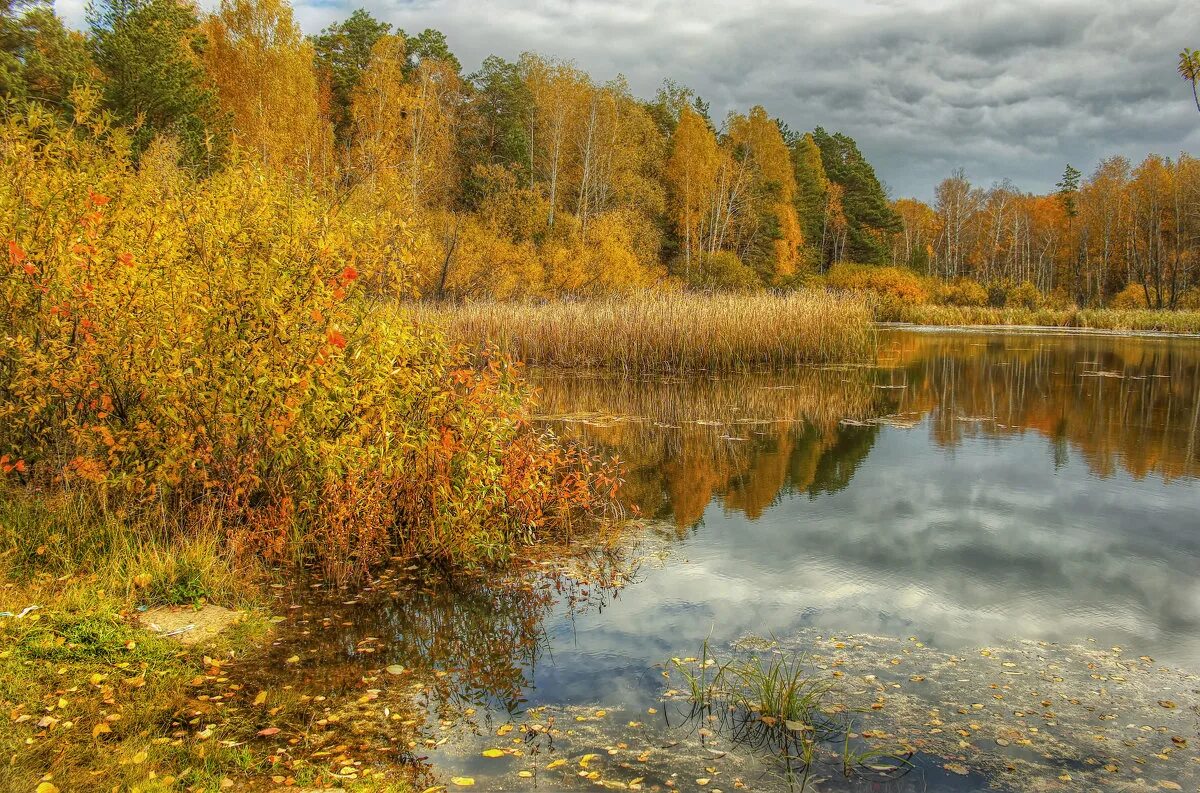 Детские стихи про осень. Опять осенний. Опять осенний. Снова осень. Опять осенний.