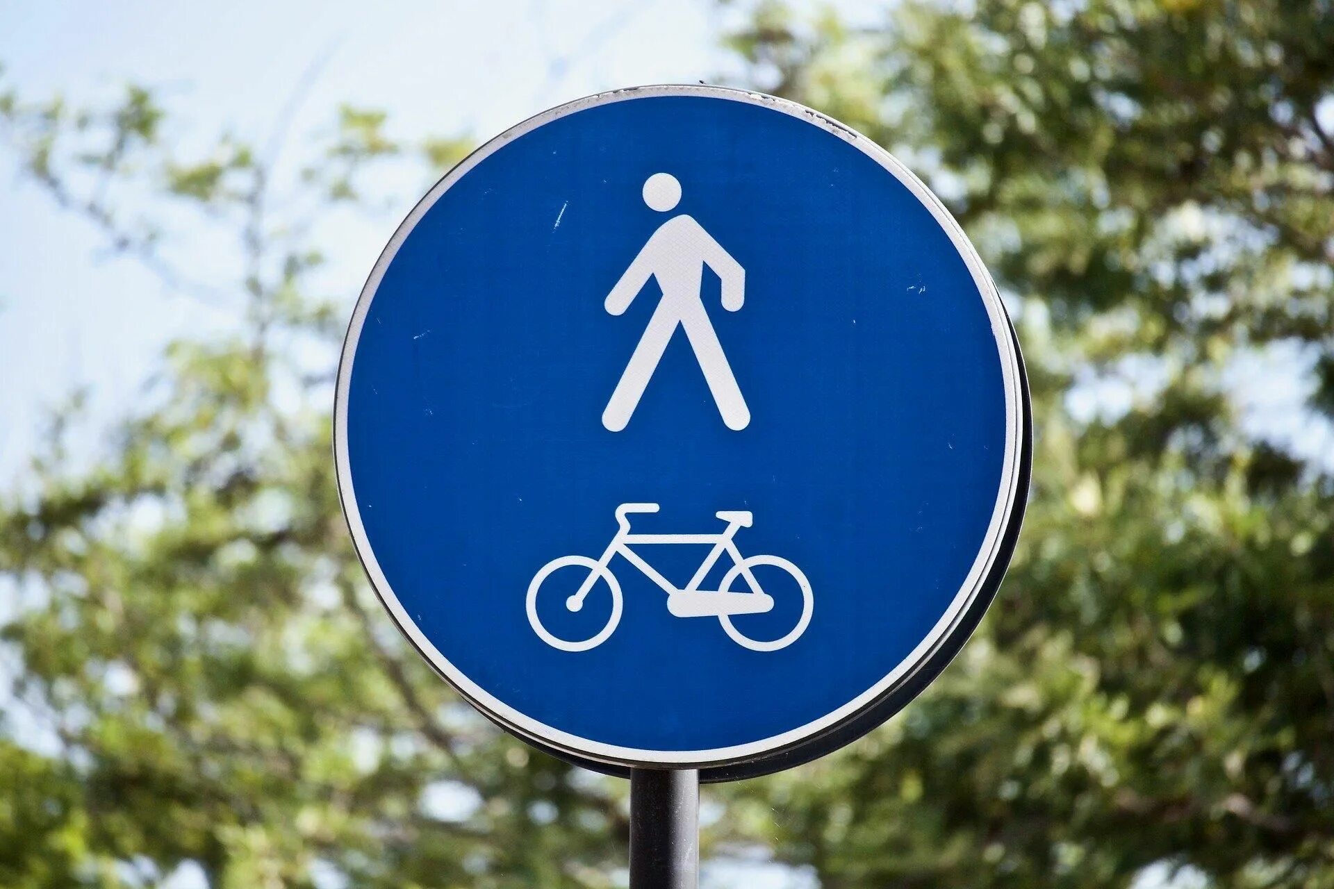 Дорожные знаки со. Дорожные знаки. Знак велосипедная дорожка. Знак дорожногодвжения. Европейские дорожные знаки.