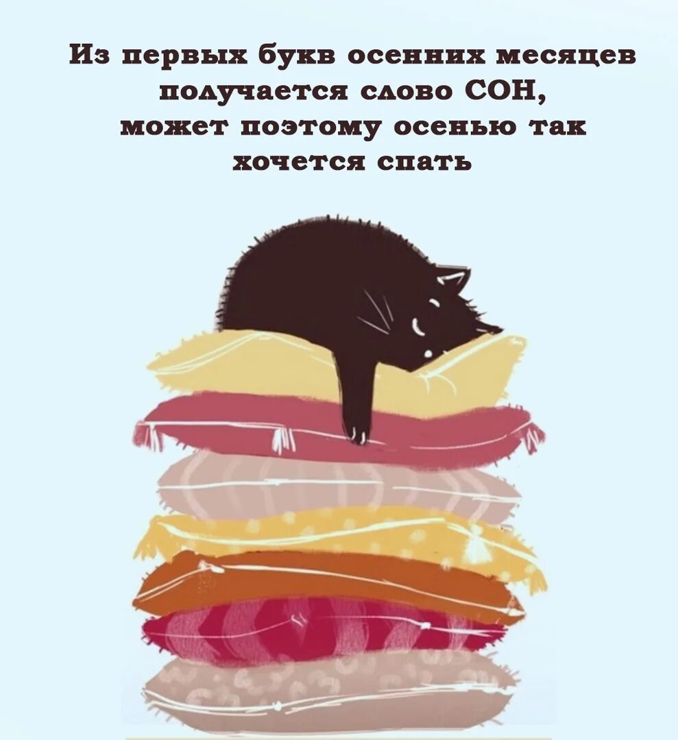 Почему хочется спать весной и нет сил. Осенью хочется спать. Осенние шутки. Анекдоты про хандру. Осенняя хандра юмор.