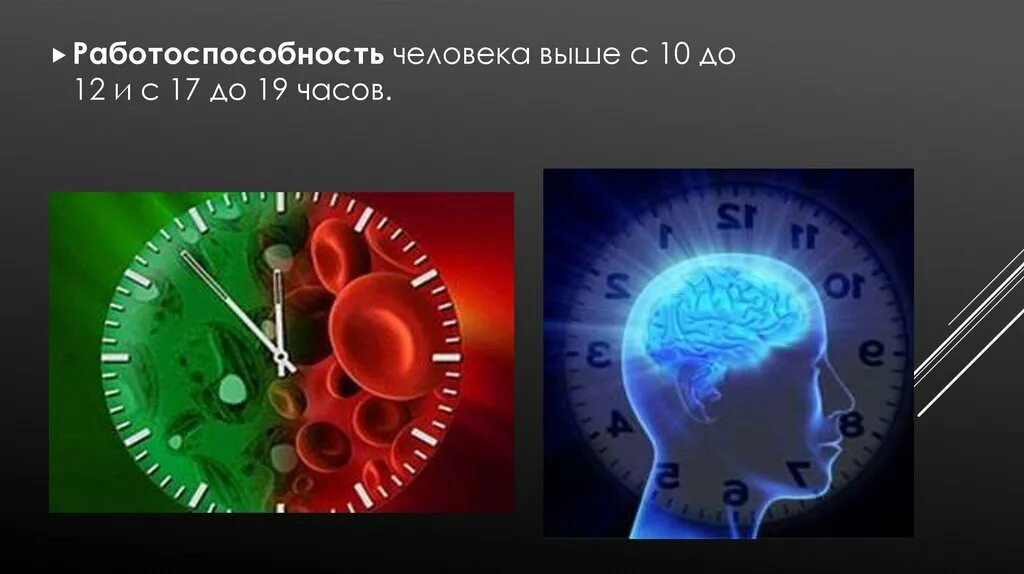 10 часов биологии. Биоритмы и работоспособность. Биологические ритмы и работоспособность. Биологические ритмы и работоспособность человека. Влияние биологических ритмов на работоспособность человека.