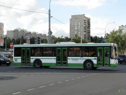 Автобусы плесково ольховая расписание