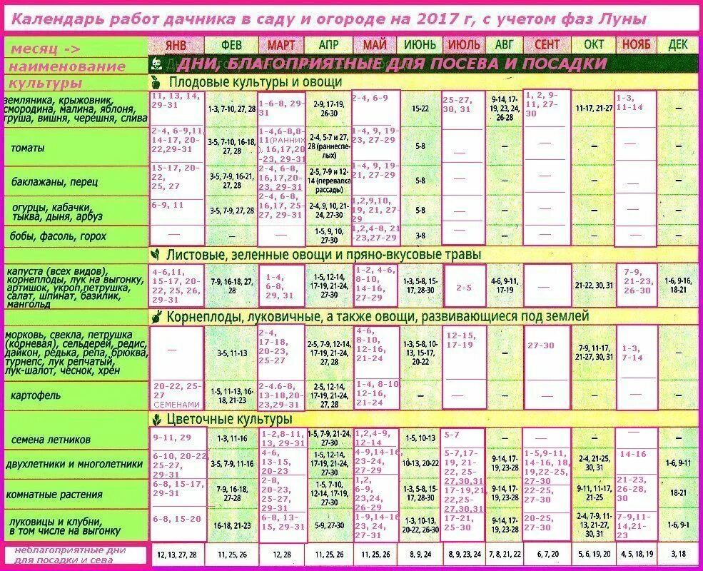 Календарь огородных работ
