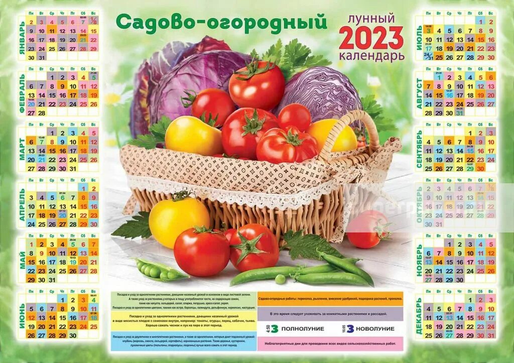 Лунный садовый календарь. Календарь садовода и огородника на 2022 год. Огородный календарь на январь 2024. Садовый календарь. Огородный календарь на январь 2024.