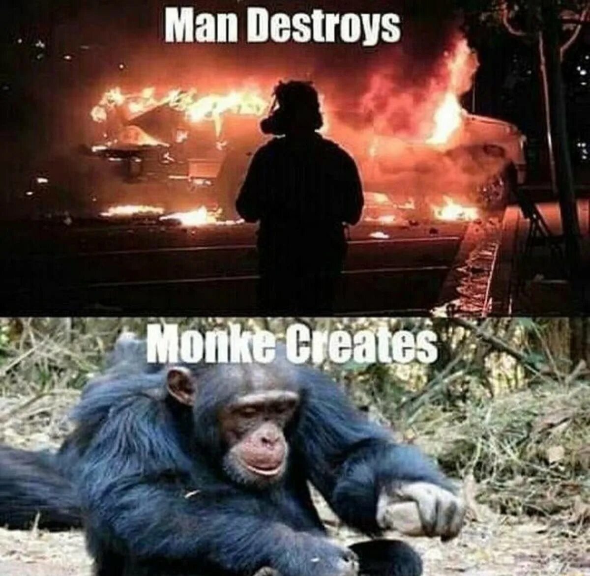 Meme o. Мемы с обезьянами. Обезьяна Мем. Манки мемы. 8 Лет Мем с обезьяной.