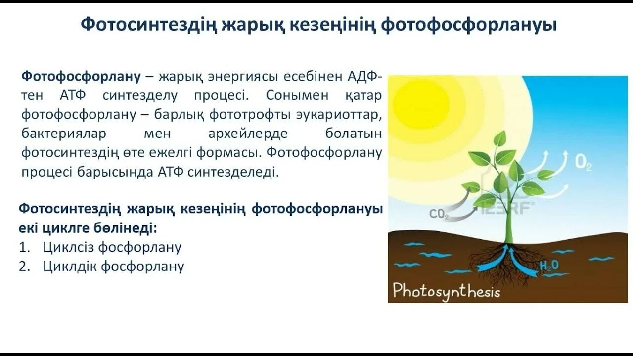 Биология видеоуроки 6 класс новый урок. Ботаника биология. 11 июня биология. 11 июня биология. 11 июня биология.