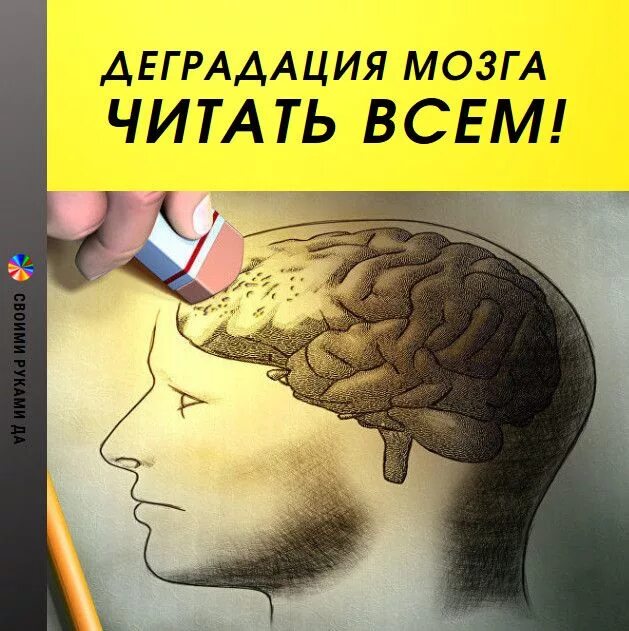 Как стимулировать мозг. Чтение и мозг. Деградация мозга. Чтение влияет на мозг. Мозг деградирует.