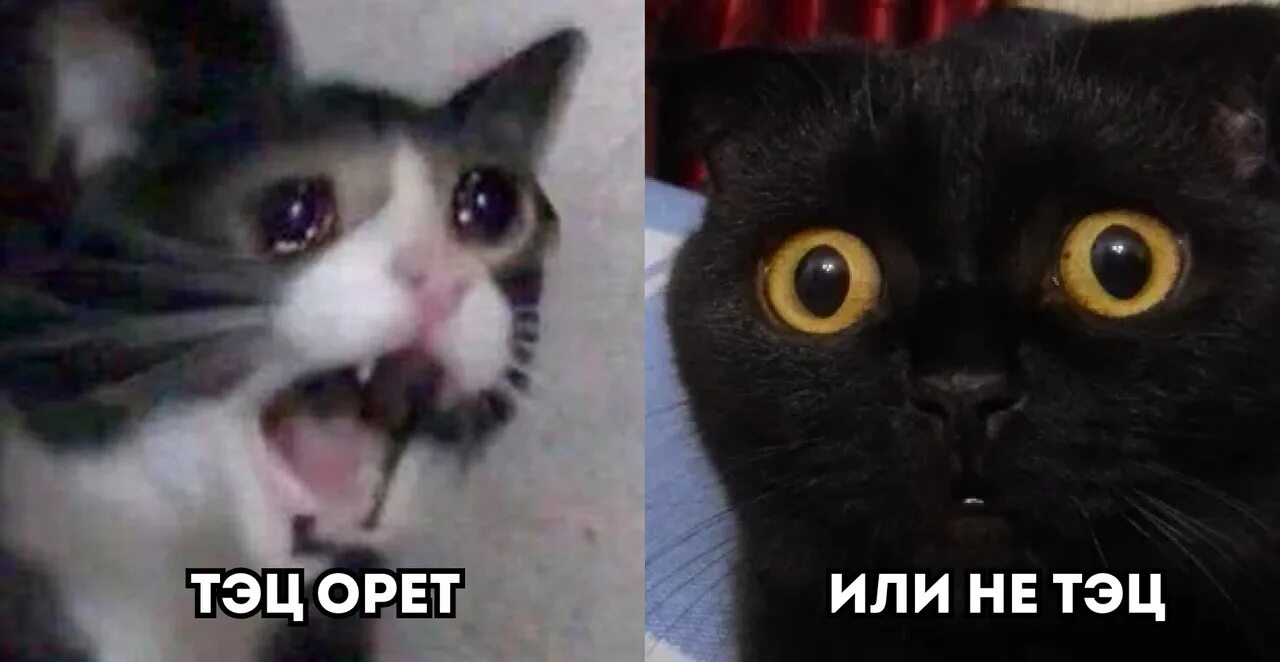 Будет страшные звуки. Ноььу ьзвг. картинка громкие звуки ночью.