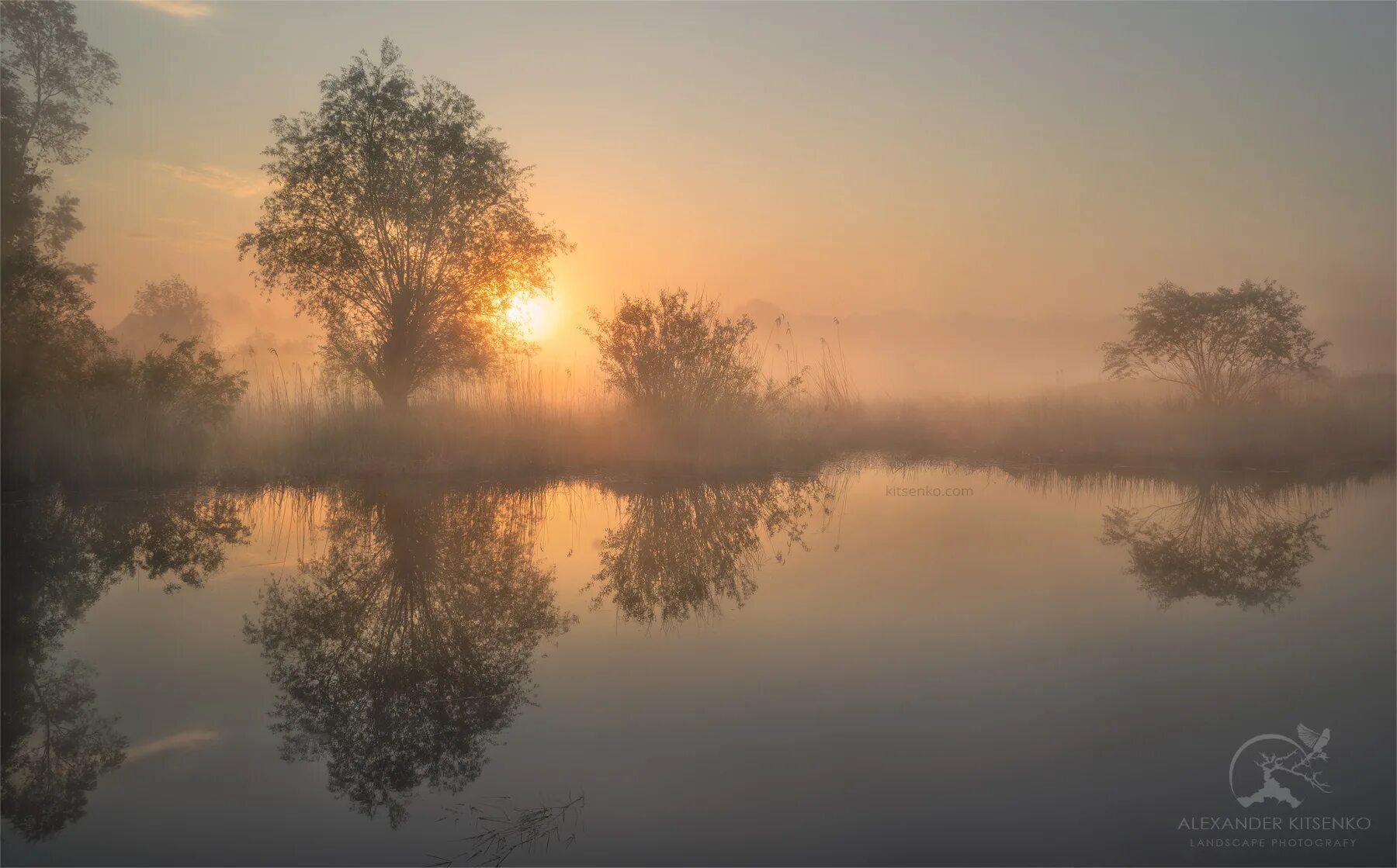 Болото любви песня