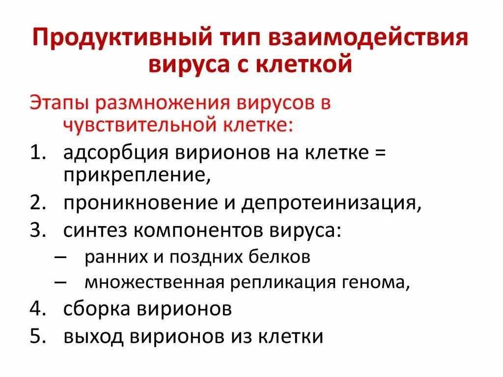 Этапы взаимодействия вирусов с клеткой последовательно. Стадии взаимодействия вируса и клетки характеристика. Стадии взаимодействия вируса и клетки таблица. Продуктивный Тип взаимодействия вируса с клеткой. Этапы взаимодействия с клеткой