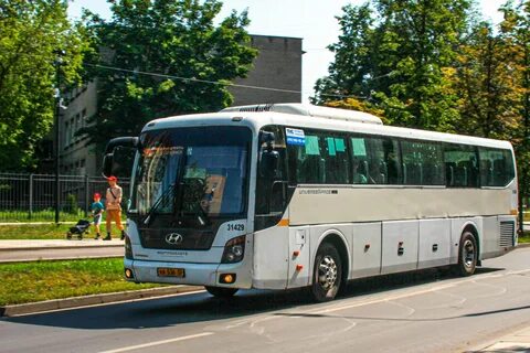 59 автобус бронницы