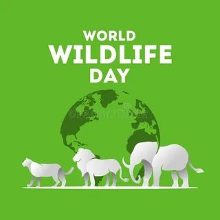 Wildlife перевод на русский