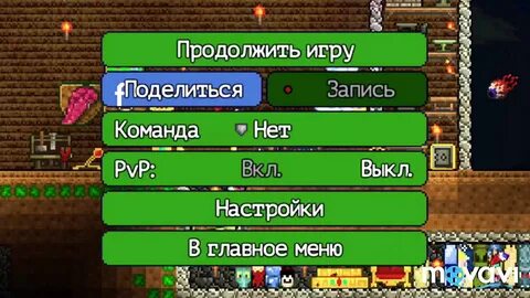 Террария радужный
