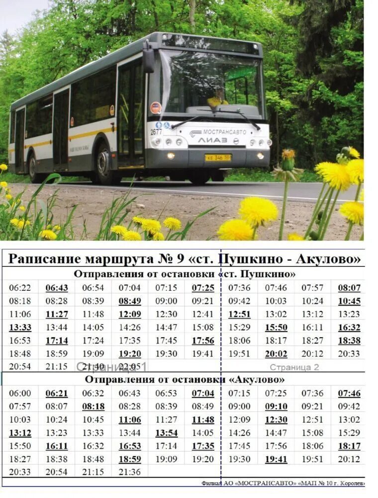 Расписание автобуса 9 акулово пушкино. Расписание автобуса 9 акулово пушкино. Автобус 509 медведково. Акулово пушкино. Поселок акулово.