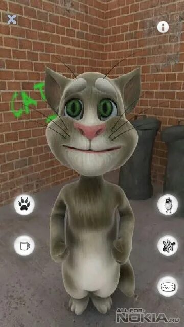 Говорящий клон. Игра talking Tom Cat (2010). Говорящий том Бекка. Том кот говорящий Бекка. Кот который повторяет за тобой.