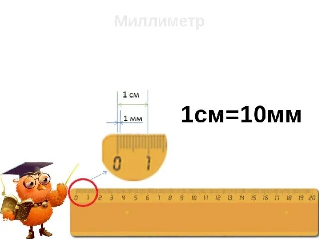 В 1 см 10 мл. 1 Дм 10 см 1 см 10 мм линейка. Миллиметры на линейке. Линейка см и мм. Теме миллиметр 2 класс.