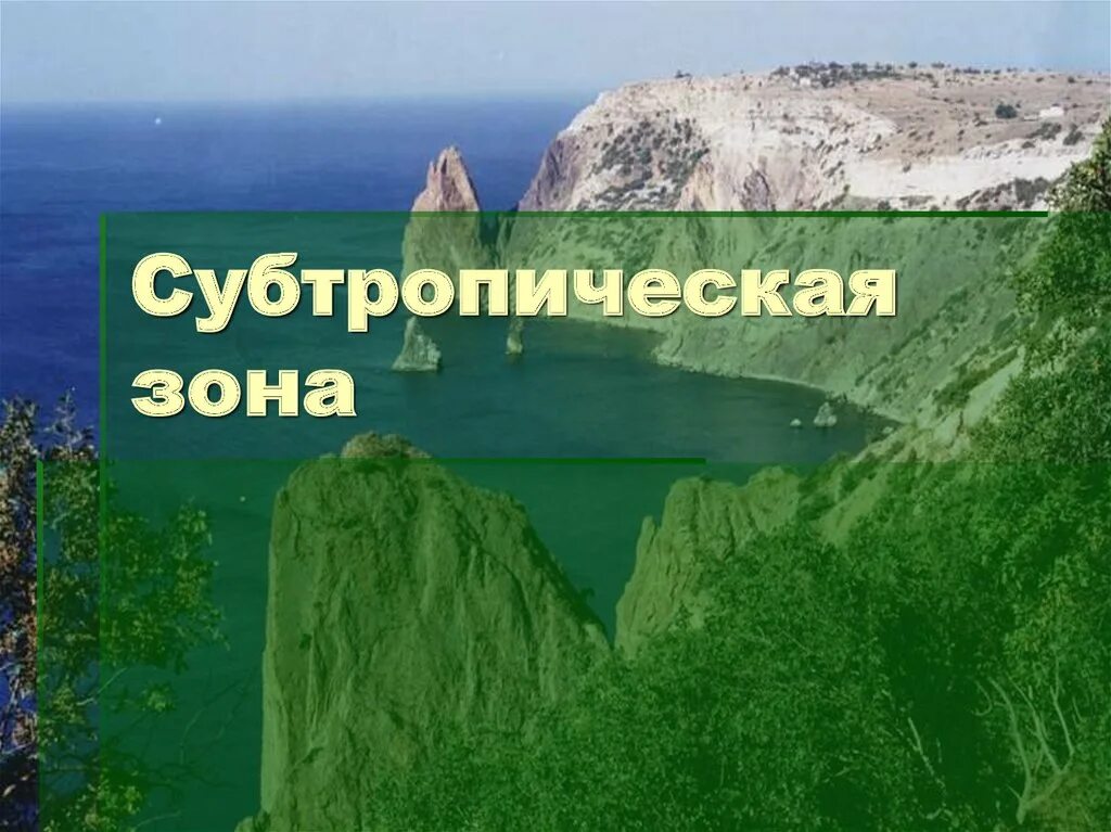 Субтропическая зона. Зона субтропиков. презентация субтропическая зона. субтропическая зона доклад. информация о субтропиках.