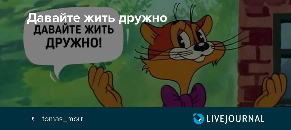 Давайте жить дружно. Кот из мультика давайте жить дружно.