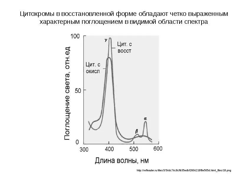 Цитохром спектр поглощения. Цитохромоксидаза спектр поглощения. Спектры поглощения цитохрома. Спектральное поглощение.