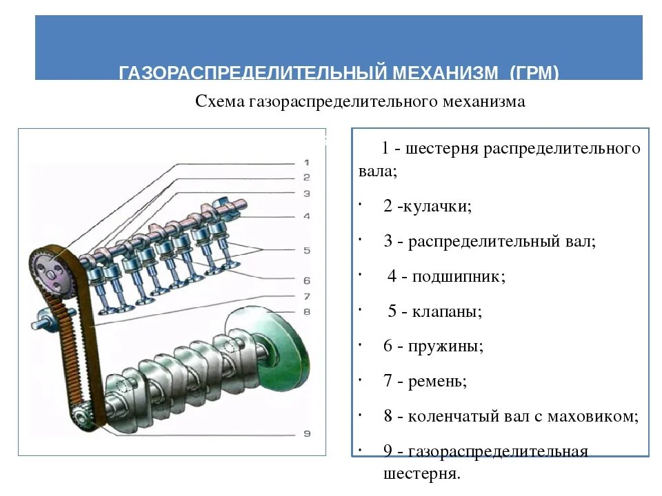 Назначение устройство деталей. Устройство распределительного вала схема. принцип работы распределительного вала. основные детали механизма газораспределения. устройство газораспределительного механизма двс.