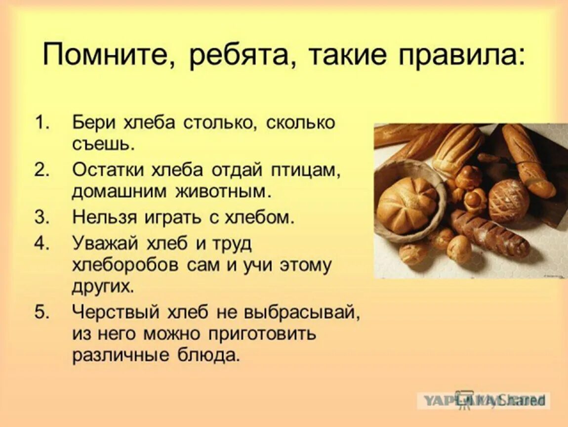 Почему выбрасывать хлеб. Бережное отношение к хлебу. Правила про хлеб. Что нельзя делать с хлебом. Хлеб для презентации.