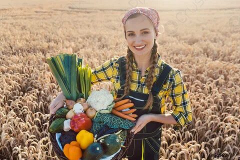 Урожай предложение