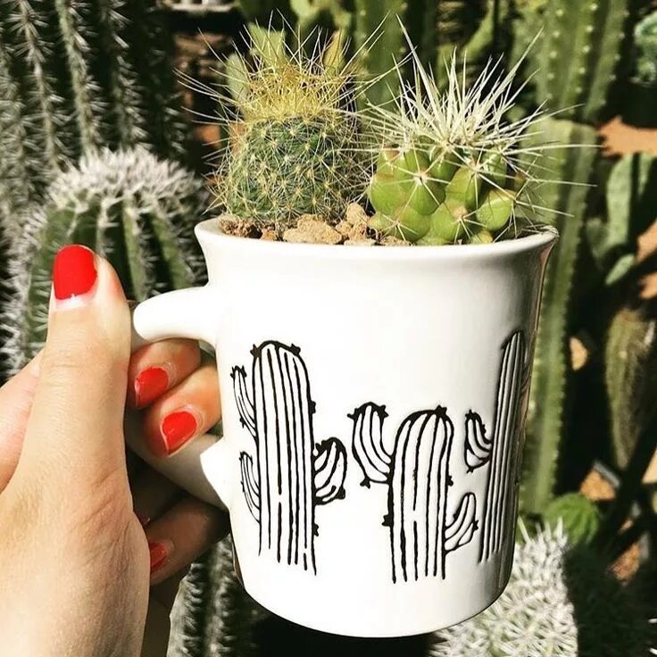 Cactus столы