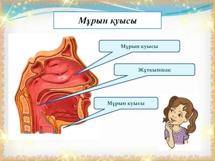 Қынап туралы порно видеоларды қараңыз