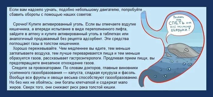 Урчание в животе. Сильное урчание в желудке причины. Сильное урчание в животе причины. Урчание в желудке после еды. Почему стучит живот