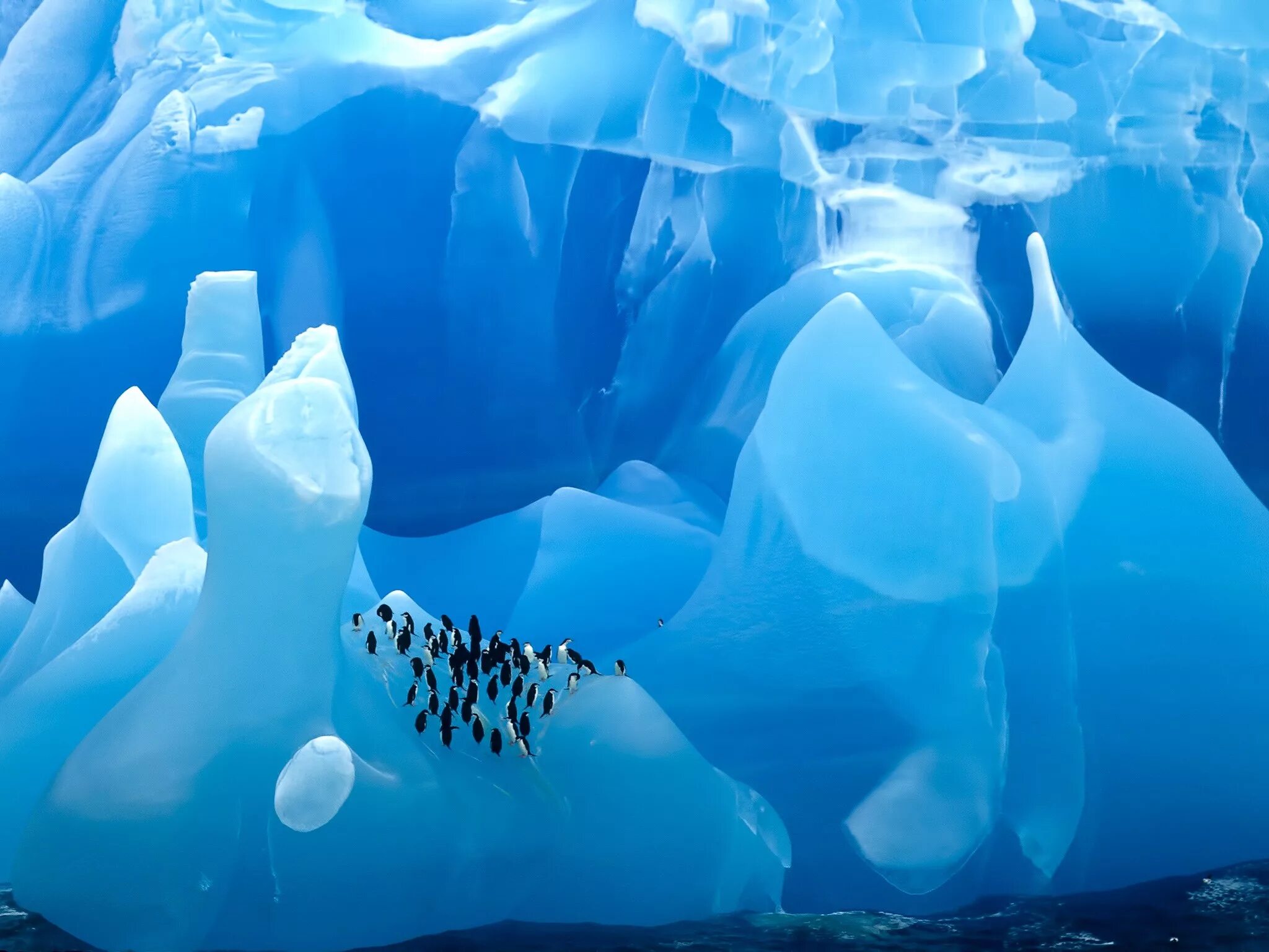 Самый большой горный ледник в мире. Ледники айсберги Антарктиды. Антарктида ледник Денман. Китовая бухта Антарктида. Голубые айсберги Антарктида.