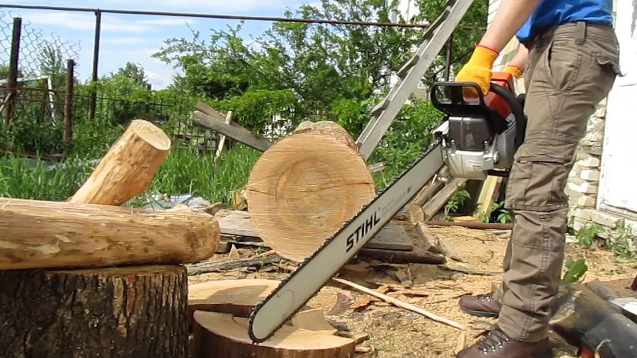 Как пилят дерево видео