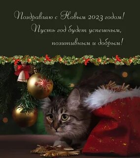 Красивые картинки с новым 2023