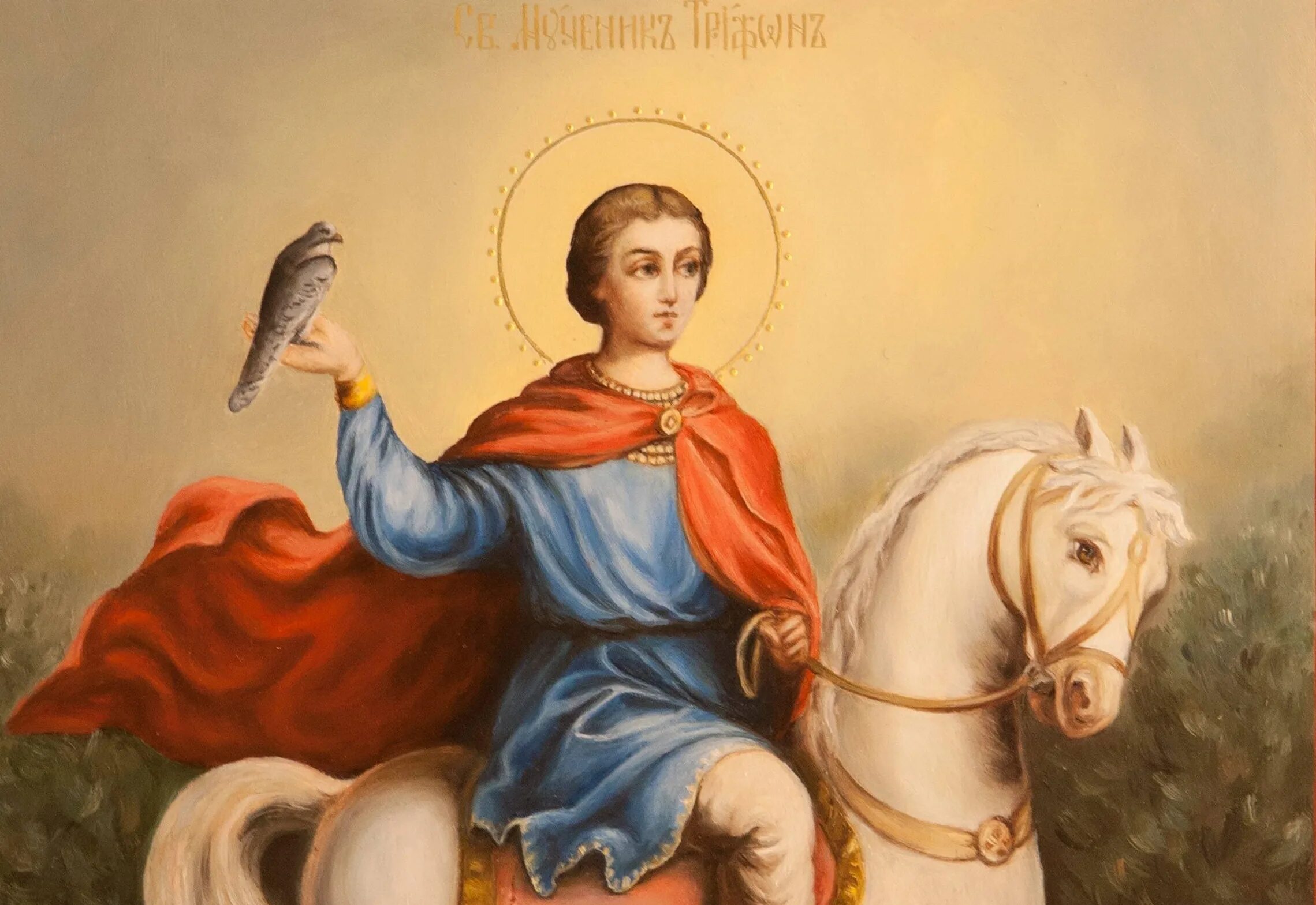 Икона Трифона Апамейского. День святого трифона 14 картинки