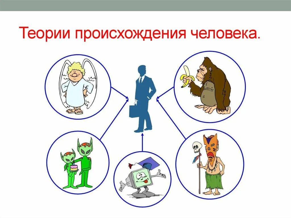 Гипотезы возникновения человека. Основные теории появления человека. Теории происхождения человека схема. Теории появления человека. Научная теория происхождения человека.