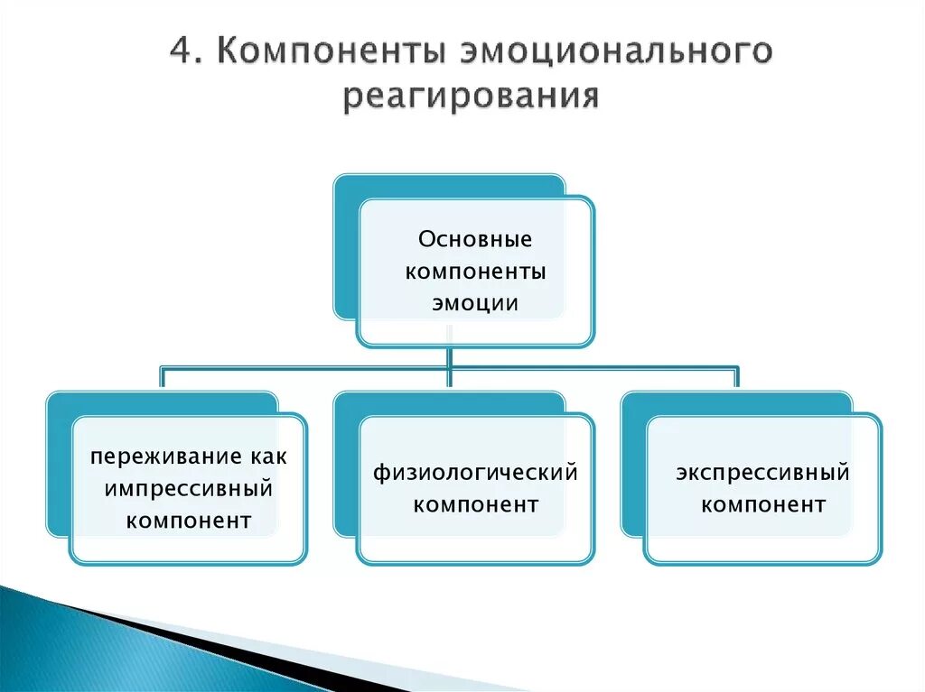 Компоненты эмоционального состояния. Компоненты эмоционального реагирования. Экспрессивные компоненты эмоционального реагирования. Физиологический компонент эмоционального реагирования. Схема эмоционального реагирования.