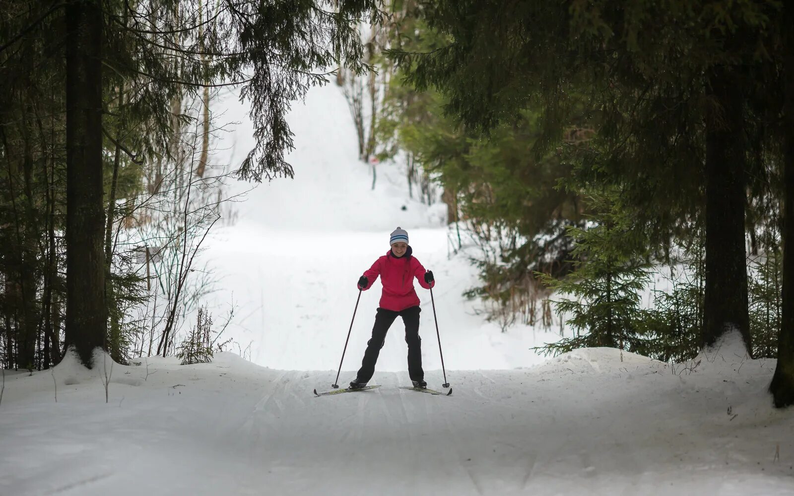 Участки лыжник. Лыжня в Битцевском лесу. Шаховская лыжная трасса. Катание на лыжах в лесу. Лыжная прогулка в лесу.