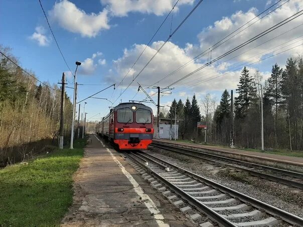 По кольцевой железной дороге курсируют 25 поездов. Эд4м 0214. Эд4м БМО. Электрички БМО. БМО Поварово-3.