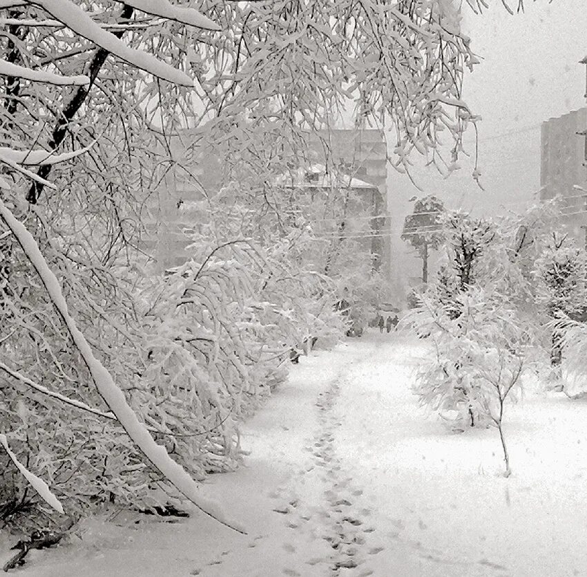 снег идет. прогулка по заснеженному лесу. зимний город. заснеженный город. женщина под снегопадом.