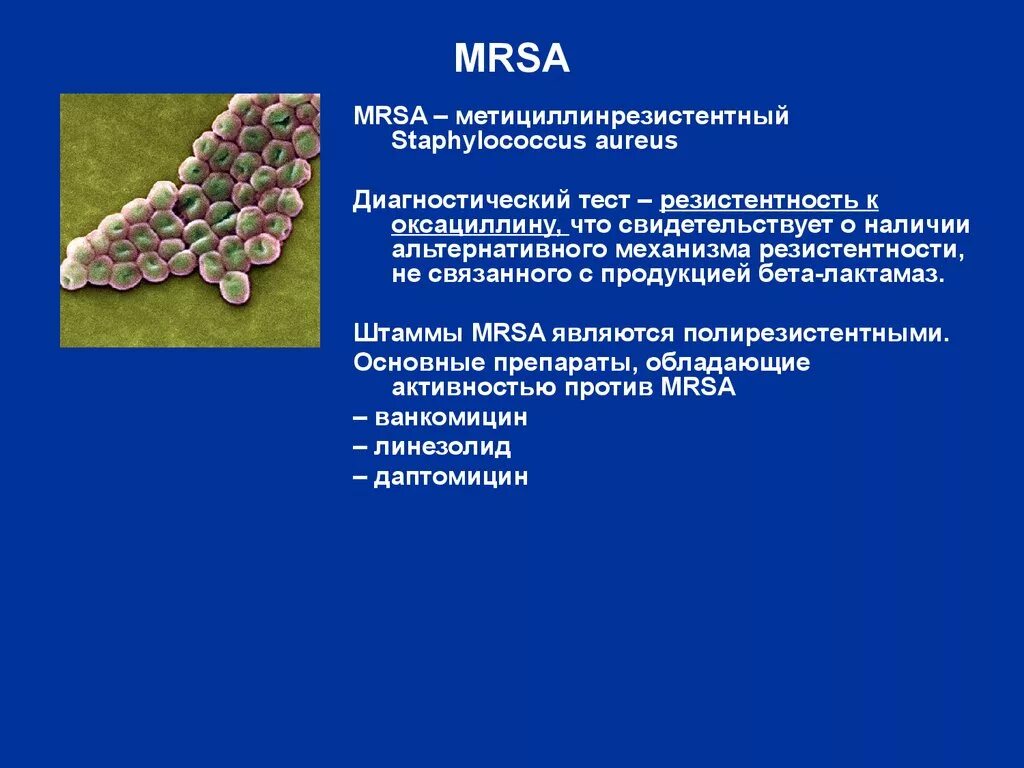 Метициллин резистентный золотистый. MRSA И MRSE стафилококки. MSSA стафилококк. MRSA стафилококки антибиотики.