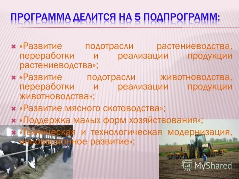 отрасли сельского хозяйства россии 4 класс. структура сельского хозяйства. технические сельскохозяйственные культуры. основные отрасли сельского хозяйства. подотрасли растениеводства и животноводства.